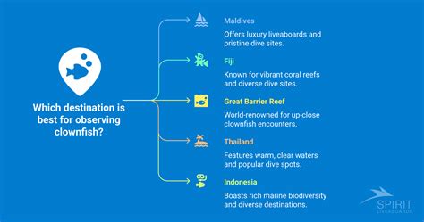 Why Clownfish Change Sex A Look At Reef Life Spirit Liveaboards