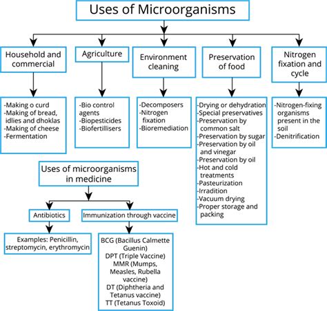 Mind Map — Lesson Science Cbse Class 8