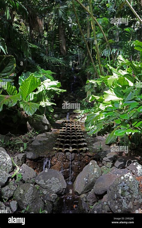 A Multi Tiered Waterfall Through A Tropical Rainforest In Allerton