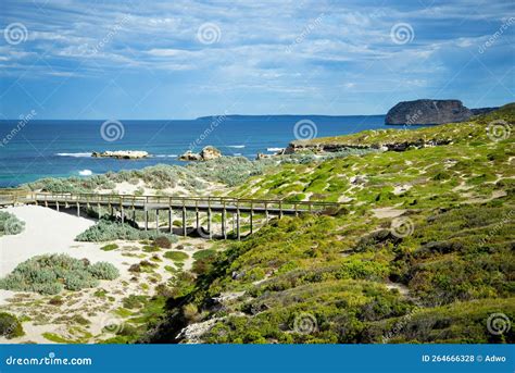 Seal Bay Conservation Park stock photo. Image of beautiful - 264666328