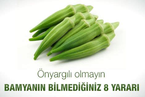 bamya bitkisi - Google'da Ara | Абельмош, Перец, Бамия