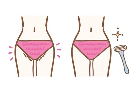 Bikini Line Illustration Royalty Free Images Stock Photos Pictures Shutterstock