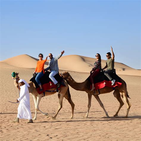 Camel Trekking In Dubai Abu Dhabi Camel Ride Arabian Adventures