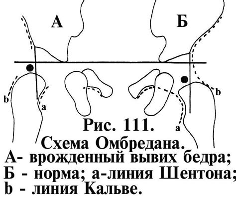III. Ортопедия