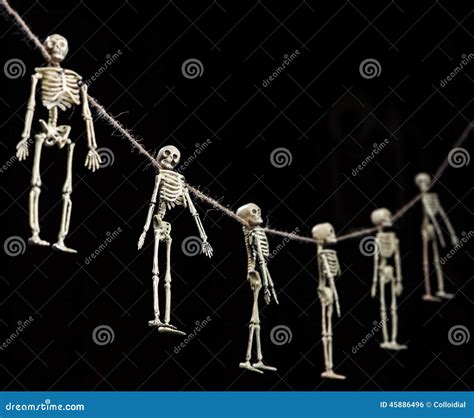 Pile Skeletons Stock Photos Free And Royalty Free Stock Photos From