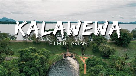 Kalawewa Lake In Sri Lanka Cinematic Video Heart Of The Indian Ocean