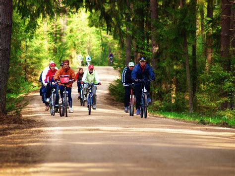 Biebrza Wycieczki Rowerowe Domek Nad Biebrz Agroturystyka