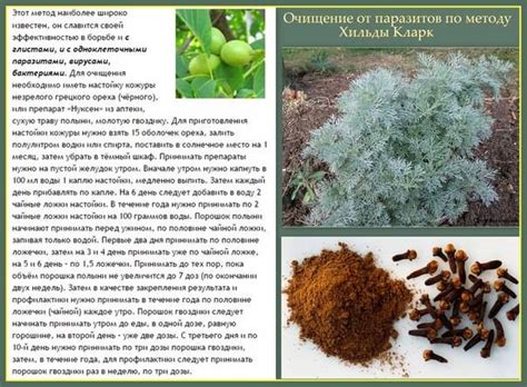 Лучшие народные средства от мух: гвоздика, пижма и водка