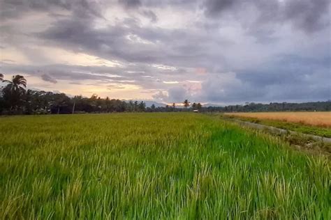 Luasnya Hanya 22 44 Km² 6 Kecamatan Tersempit di Magelang Ini Ternyata