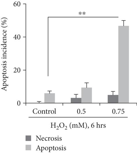 H2o2 Induces The Apoptosis Of And Mitochondrial Dysfunction In The Download Scientific Diagram