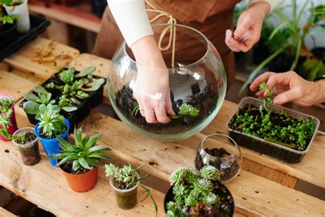 How To Grow Plants In Glass Pots In Easy Steps