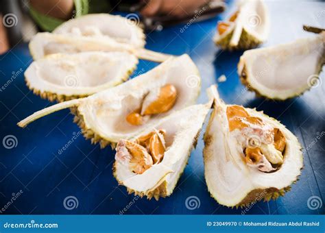 Durian Seeds And Skins Royalty-Free Stock Image | CartoonDealer.com ...