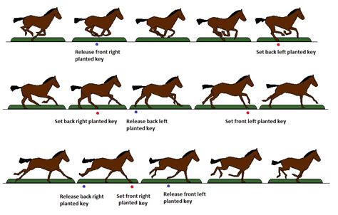 Horse Running Animation Clipart Best