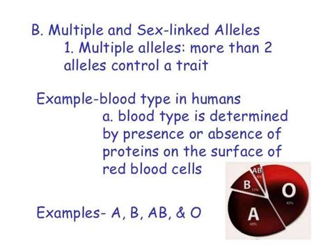 Cracking The Code Answer Key To The Codominance Worksheet On Blood Types