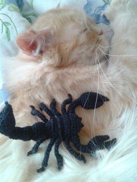 Пин от пользователя yvonne ferreras на доске crochet | Вязаные игрушки ...
