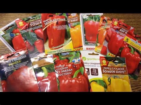 САМЫЕ ЛУЧШИЕ И УРОЖАЙНЫЕ СОРТА ПЕРЦА ДЛЯ ОТКРЫТОГО ГРУНТА И ТЕПЛИЦ ...