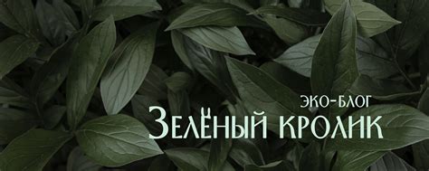 Эко-блог "Зеленый кролик" | Делюсь личным опытом, создаю красивые вещи ...