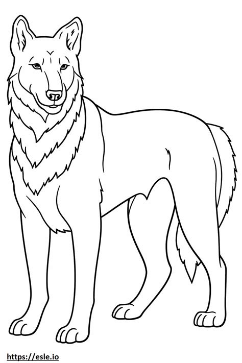 Berger Picard Full Body Coloring Page