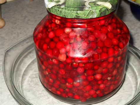 Брусника в сиропе - пошаговый рецепт с фото (63376 просмотров)