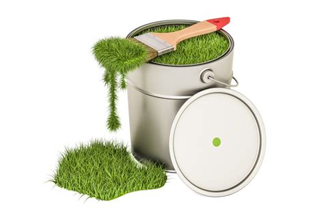 Eco Friendly Paints Are Key For Our Environment And Sustainability Plan
