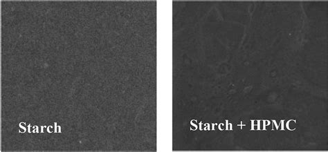 Effect of starch and hydroxypropyl methylcellulose polymers on the properties of orally ...