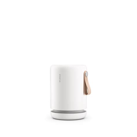 What is Dust Made of? Dust Particle Sizes & Composition - Molekule