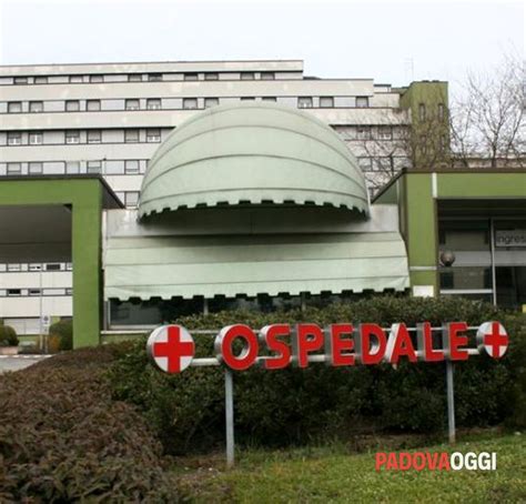 Ospedale Piove Di Sacco Pipitone Idv