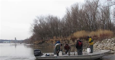 Missouri River Home To Endangered Pallid Sturgeon Kcur Kansas City
