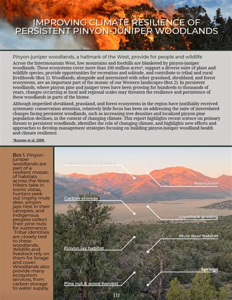 New Report Improving Climate Resilience Of Persistent Pinyon Juniper