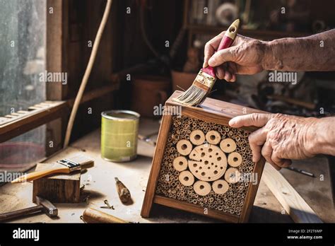 Making insect hotel. Craftsperson painting handmade wooden insect house ...