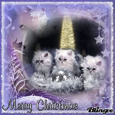 White Kittens Merry Christmas Gif Pictures, Photos, and Images for ...