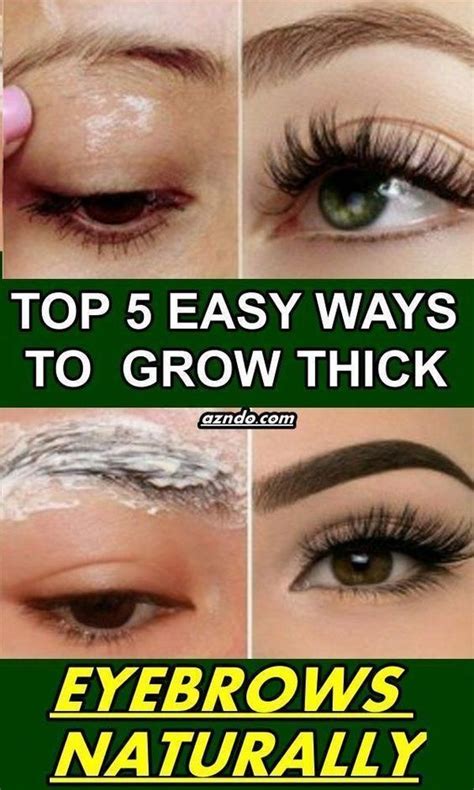 How To Grow Eyebrows And Eyelashes Grow Eyebrows Thicker How To Grow