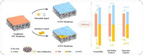 二硫化钼（mos2）纳米片在薄膜纳米复合（tfn）膜上掺杂位置在苦咸水处理中的作用separation And Purification