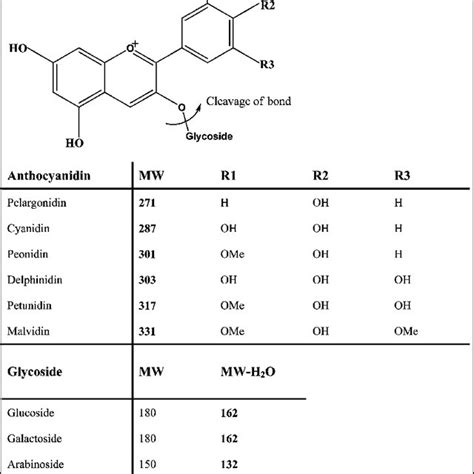 Chemical Structure And Molecular Weight Mw Of Common Anthocyanins And