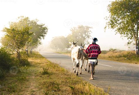 Indian Village Road 1182665 Stock Photo at Vecteezy