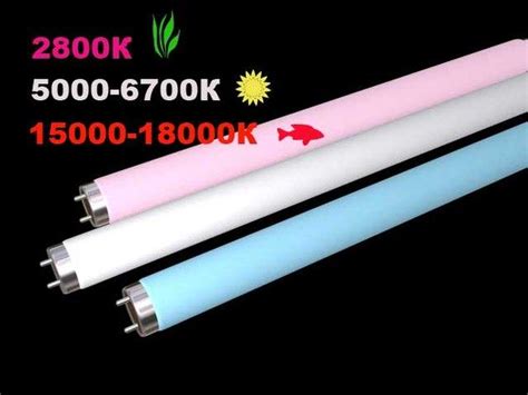 Люминесцентные лампы для аквариума