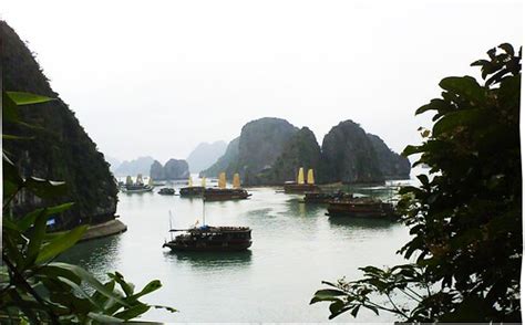 A Vietnamese Naked Party In Halong Bay The Travel Junkie