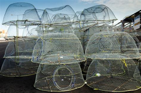 Traditional Wire Mesh Fish Trap Used For Fishing Stock Image Image Of