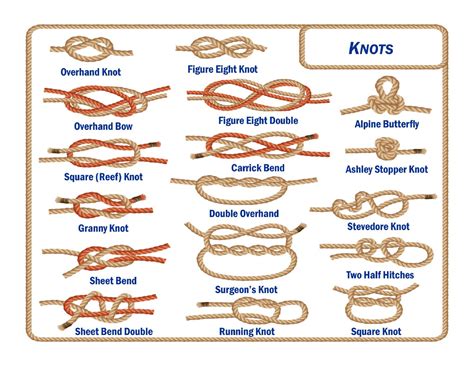How To Tie Knot Picture Laminated Guide Knots For Boating Camping And