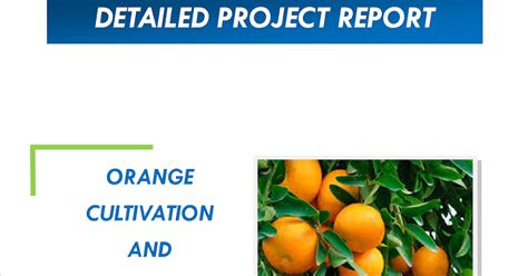 Orange Cultivation And Processing Project Report Space Consultancy