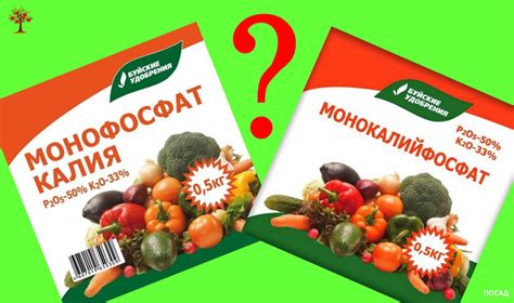 Коварный монофосфат калия. Как правильно проводить некорневую подкормку ...