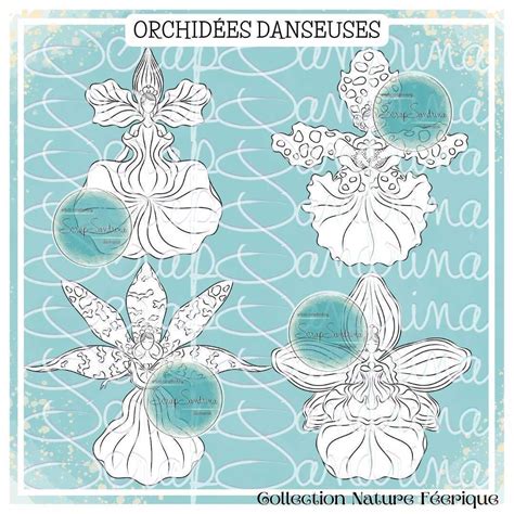 Orchid Es Danseuses Lot De Tampons Num Riques Imprimables Png