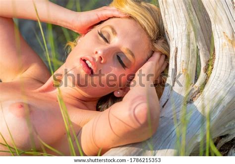 Gorgeous Nude Blonde Model Enjoys Summers Stock Photo 1786215353 Shutterstock