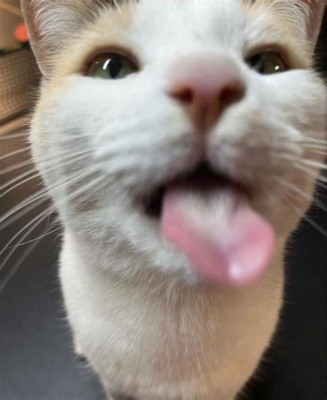 More Photos Of Me Lesbian Amino