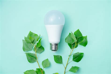 The Top Eco-Friendly Technologies of 2021 - Greener Energy Group