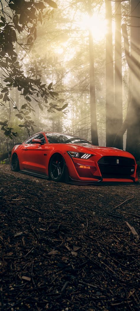 Ford Mustang Gt Wallpaper 4k 5k