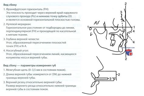 Оценка красоты лица у детей и подростков (эстетика лица) - тактика ...