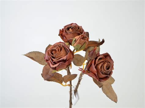 Rosen-Pick x4, 43cm, rostrot | 4264-46