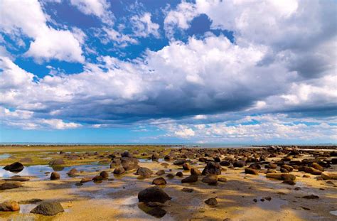 Altona Beach - Tides, BBQ Facilities & Off Leash Dog Beach Melbourne