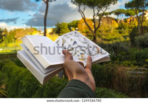 Field Guide Book: Over 279 Royalty-Free Licensable Stock Photos ...